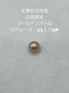 在庫処分特価　白蝶真珠　ゴールデンパール　片穴ルース　11ミリUP 037 片穴ルース