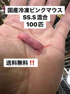 国産冷凍ピンクマウスSS.S 混合100匹 北海道、沖縄及び離島発送不可