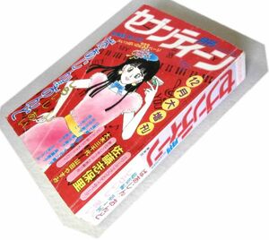 ◎月刊セブンティーン 1983.12大増刊号 佐藤志保里 しらいしあい