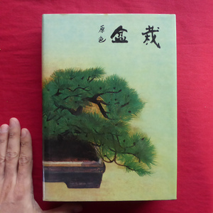 b2/村田憲司・村田圭司編【園芸植物大観1 原色 盆栽/集英社・1971年】盆栽づくりの根本原理/盆栽づくりの実技編/水石 @3