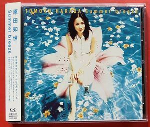 【美品CD】送料無料 原田知世「Summer breeze」TOMOYO HARADA [02070650]