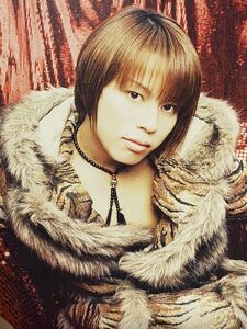 ●T.M.Revolution/西川貴教,Takanori Nishikawa●写真集2冊組『転生降臨之書』荒れる！国家統一倶楽部●Y●即決●