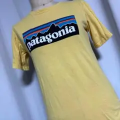 patagonia パタゴニア 半袖 Tシャツ Lサイズ イエロー 黄色