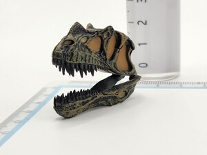 チョコラザウルスDINOTALESフィギュアコレクションPart4:084.ケラトサウルス(頭骨)24c23検Chocoチョコエッグ 恐竜 古代生物Qいきもの大図鑑