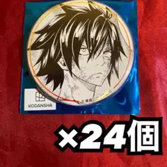 フェアリーテイル プリンセスカフェ fairytail 缶バッジ グレイ 24個