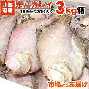 宗八カレイ 3kg 15～20枚前後 北海道産 カレイ かれい 鰈 宗八鰈 一夜干し 干物 仕入れ 水産仕入 業務用 敬老の日 敬老ギフト