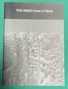 戸谷成雄展 視線の森 図録◆広島市現代美術館、1995年/k820