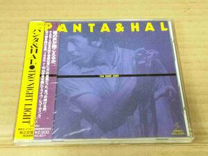 パンタ＆HAL TKO NIGHT LIGHT CD 未開封 PANTA 頭脳警察 h872