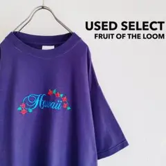 古着 “FRUIT OF THE LOOM” Hawaii 刺繍Tシャツ