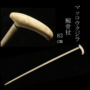 【LIG】時代物 マッコウクジラ 鯨骨杖 83㎝ ステッキ 古美術品 コレクター収蔵品 [.WI]24.10