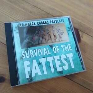 SURVIVAL OF THE FATTEST Hi-standard NOFX Lagwagon SNUFF PIZZA OF DEATH SHANK dustbox Hawaiian6 10-FEET 京都大作戦 HEY-SMITH SiM