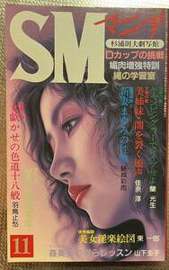 SMマニア　1989年 2月　蘭光生　結城彩雨 佳奈淳 五代友義　羽鳥止愁　前田寿按　楡畑雄二　笠間しろう　他