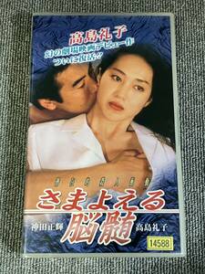 ak00696 さまよえる脳髄 神田正輝 高島礼子 ミュージアム VHS お宝ビデオ