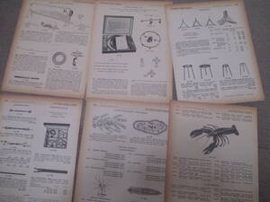古い実験研究用等の専門書の切り抜き インテリアに６枚　No3