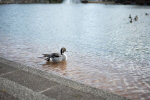 3041　風景写真 L/2Lサイズ 当方オリジナル撮影フリー写真