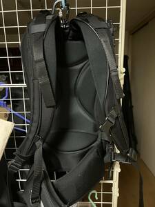 【BAM】ERGONOMIC BACKPACK FOR CELLO CASE【美品】