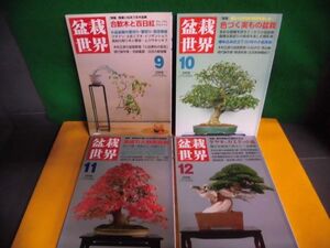 盆栽世界　2008年9月〜12月号の4冊セット