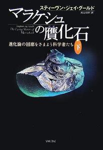 マラケシュの贋化石(下) 進化論の回廊をさまよう科学者たち/スティーヴン・ジェイ・グールド(著者),渡辺政隆(訳者)