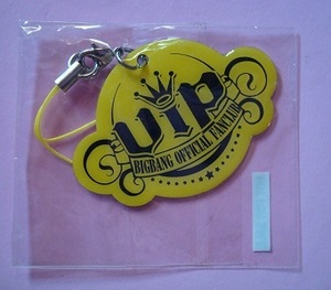 未開封 BIGBANG VIP JAPAN 非売品 ストラップ G-DRAGON TOP SOL D-LITE VI ジヨン タプ トップ ヨンべ テヤン テソン スンリ