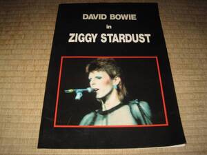 デビッド・ボウイ ジギー・スターダスト DAVID BOWIE IN ZTGGY STARDUST シネマパンフ