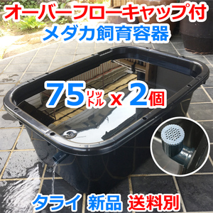 メダカ飼育容器【75㍑ 黒x2個 オーバーフローキャップ付】送料別 メダカ飼育ケース 越冬 金魚鉢 睡蓮 ビオトープ タライ【五色アクア】