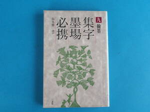 集字墨場必携 (9)　翰墨　 福本 雅一 二玄社 / 翰墨（詩 文 詩人・文人 書 画 碑版 文房具 読書）