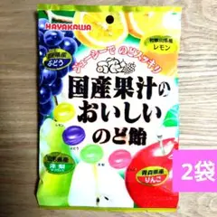 国産果汁のおいしいのど飴　計2袋　フルーツ　キャンディ　駄菓子