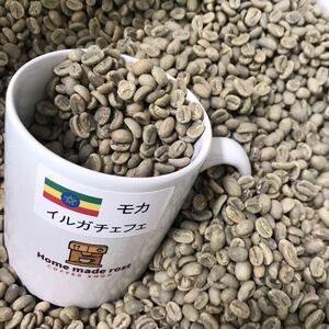 コーヒー生豆 モカイルガチェフェ800g