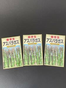2024年1月入荷 アスパラガス タネ 極早生 バイトル 太茎で揃いが良く収量性が高い品種 3パックセット garden asparagus