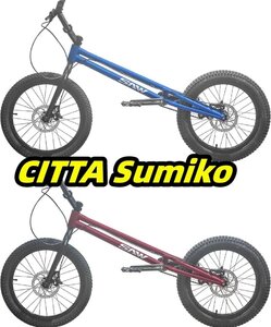 24インチ スタント用自転車 BMX 自転車 大人用 フロントおよびリアブレーキ付き Crmoフレームとフォーク パープル