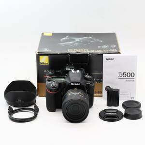 #b1350【美品】 Nikon ニコン D500 16-80 VR レンズキット