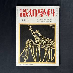 【 戦前 昭和10年 】科学知識 3月号 日露戦30周年記念 / 科学知識普及舎 / 航空 自然 原子 鉄道 震災 理学 工学 化学 医学