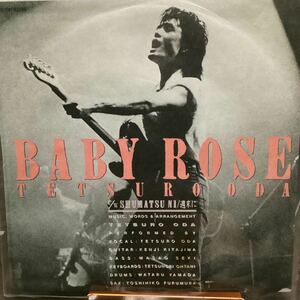 織田哲郎　BABY ROSE 見本盤レコード