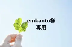 emkaoto様専用