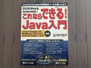 【美品】これならできる! Java入門 / 日経BP / 日経ソフトウェア / Java入門書