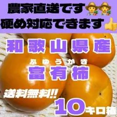 綺麗め✴︎農家直送！富有柿 10キロ　甘柿　ふゆ柿　ふゆう柿　冬柿　和歌山県産　柿