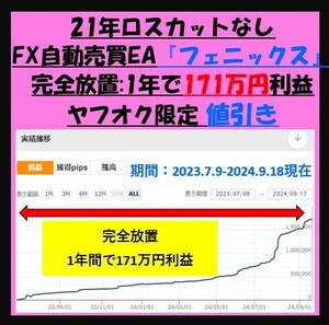 【1年完全放置で171万利益！ヤフオク特価50％off】11通貨ペア　20年間バックテスト　最大DD20％以下　フェニックス