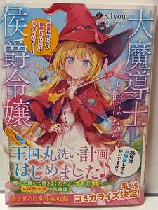 12/20 TOブックス 大魔導士と呼ばれた侯爵令嬢 ～世界が汚いので掃除していただけなんですけど……～ K1you パルプピロシ