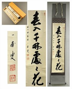 【千寿】大徳寺派 蔵雲寺 矢野一甫 春入千林処々花 一行書 紙本 d668◆箱/茶道具/古美術/時代品/掛軸/100025437