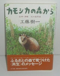 哺乳類：シカ1996『カモシカの森から －白神・津軽 北の自然誌－』 工藤樹一 著