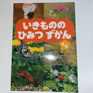 中古★いきもののひみつずかん はる★がくしゅうひかりのくに2008年4月号付録