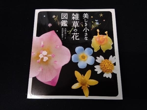 美しき小さな雑草の花図鑑 大作晃一