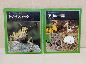 昭和【２冊】科学のアルバム　アリの世界　トノサマバッタ　栗林慧　佐藤有恒　小田英智　あかね書房　　　レトロ　図鑑