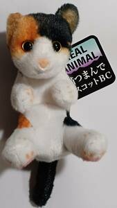 REALANIMAL　猫つまんでマスコットBC　三毛猫　約17cm　送料￥200～　タグ付き　マスコット　リアル　フィギュア　ネコ　ぬいぐるみ