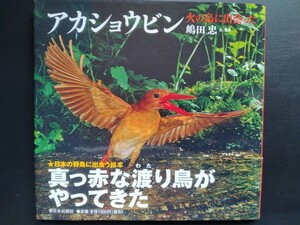 日本の野鳥に出会う絵本【アカショウビン】火の鳥に出会った●嶋田忠●写真集●生態●ハンティングの瞬間●水中撮影/初版・帯付き