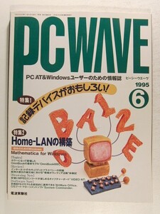 PC WAVEピーシーウエーヴ1995年6月号◆特集 記録デバイスがおもしろい/Home-LANの構築