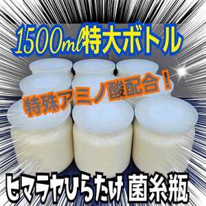 極上！ヒマラヤひらたけ菌糸瓶　特大1500ml【5本セット】国産オオクワガタ85mm羽化実績　トレハロース、ローヤルゼリー、キトサン強化配合