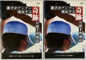 ☆ 選手がグングン成長する奇跡の投手育成法 DVD2枚セット お父さんのための野球教室 桜井一