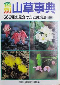 色別山草事典/666種の見分け方と栽培法/増補/別冊趣味の山野草■月刊さつき研究所/平成元年/増補版