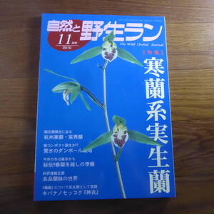 ＹＮ1-240910☆自然と野生ラン 2010年11月号　※ 寒蘭 春蘭 キバナノセッコク ※ 園芸JAPAN